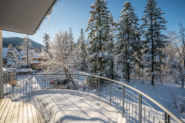 Widok z balkonu w pokoju nr 7